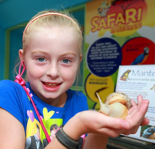 Caitlin McStay with a Giant African Snail as part of Safari Saturday in the Buttercrane Shopping Centre. 